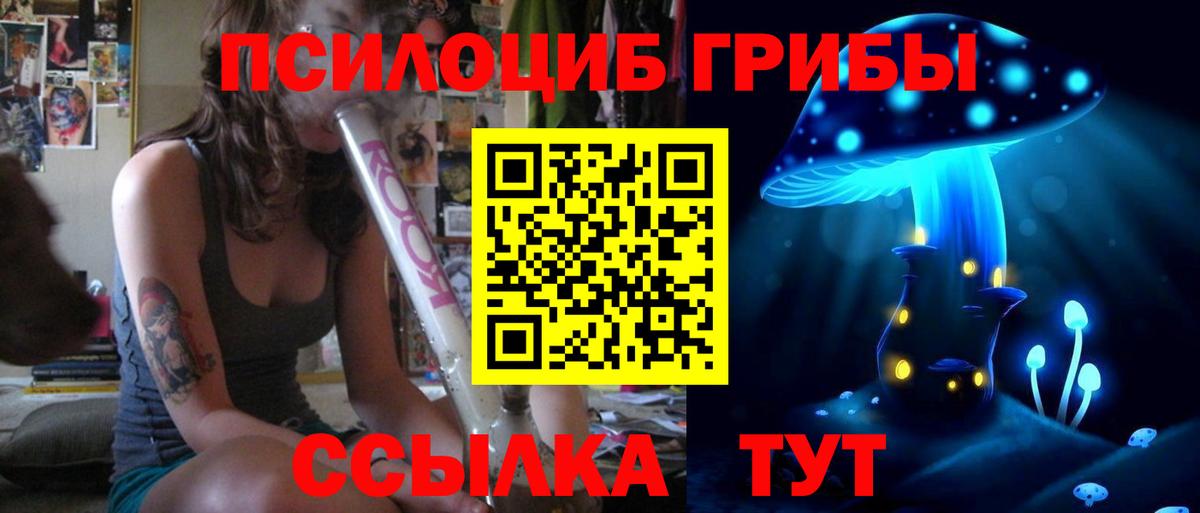 Сергиев Посад  Галлюциногенные грибы Magic Shrooms  Вход с VPN 